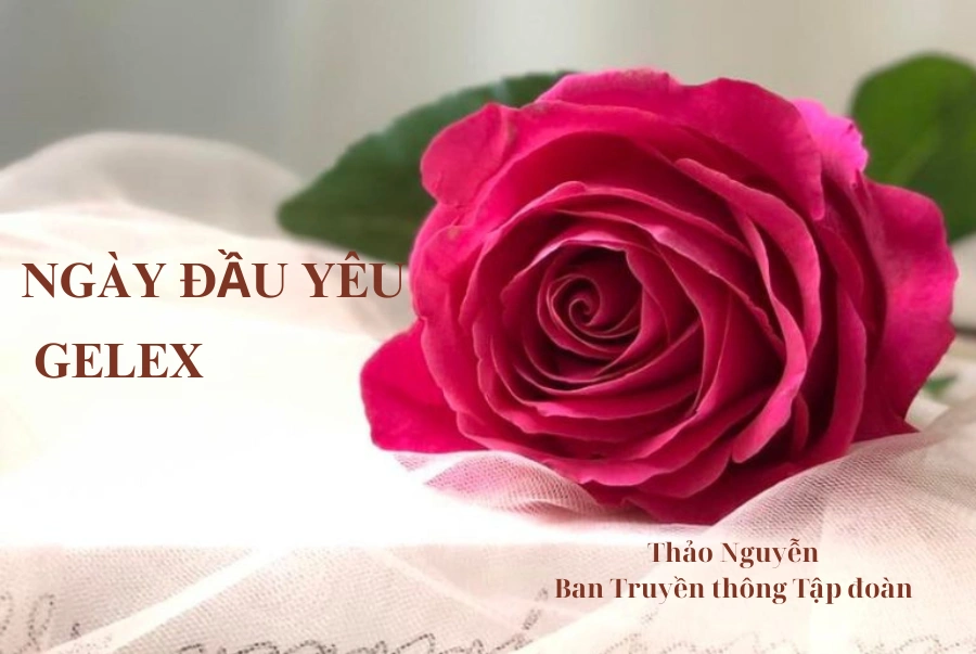 Ngày đầu yêu GELEX