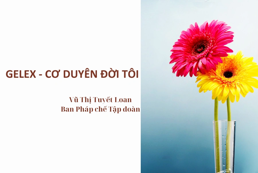 GELEX – “CƠ DUYÊN” CỦA ĐỜI TÔI