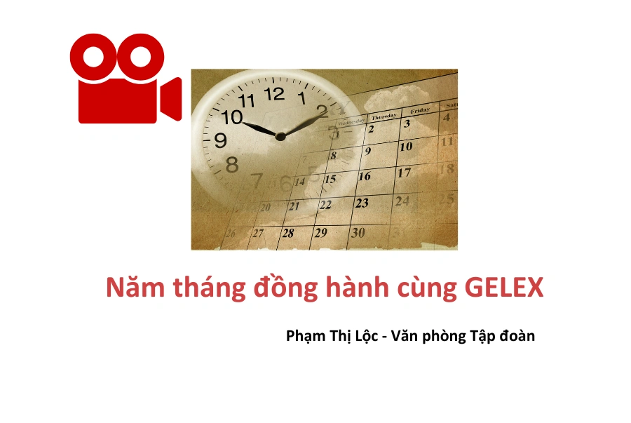 Video: Năm tháng đồng hành cùng GELEX (Phạm Thị Lộc