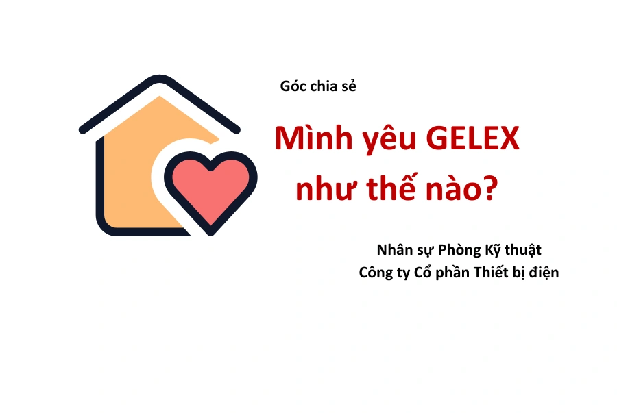 Góc chia sẻ: : “Mình yêu GELEX như thế nào?” (Nhân sự thuộc THIBIDI)